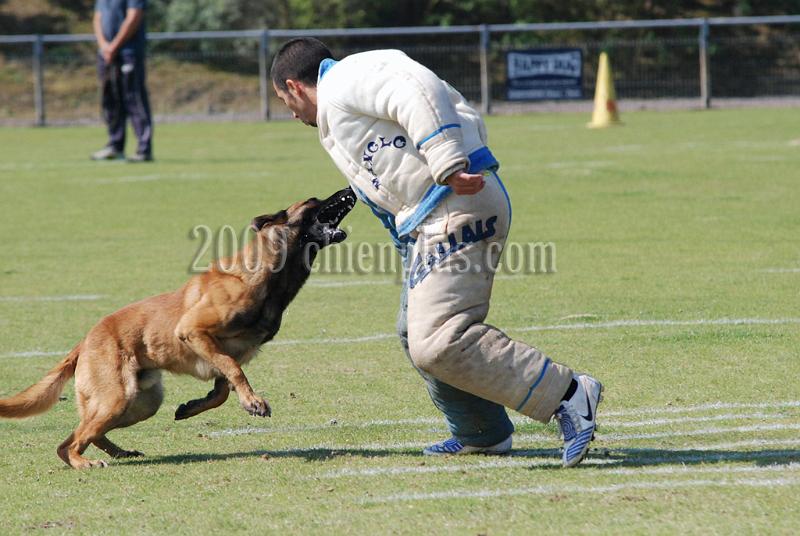 3 EME SELECTIF 2009 GRANDE SYNTHE 445.jpg